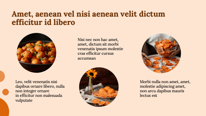 Bold Tangerine slide 5